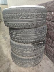 купить докатку r17: Шины