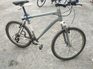 Городские велосипеды: Городской велосипед, Trek, Рама XL (180 - 195 см), Б/у