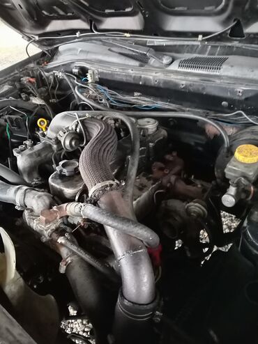 Nissan: Nissan Pathfinder: 3.2 l | 1998 il Ofrouder/SUV — 8