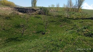 Долгосрочная аренда домов: 220 м², 6 комнат — 14