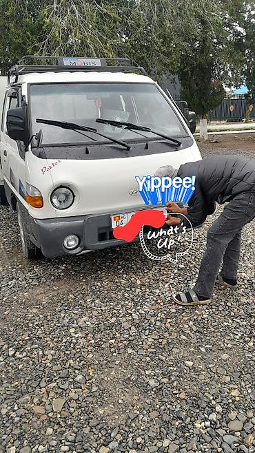 ремонт портер 1: Hyundai Porter (малотоннажный бортовой грузовик) - Кабина с надписью — 1