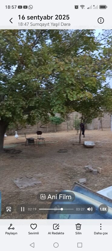 Ağaclar: Məhsul: Nar ağacı, Alma, Tut, Feyxua, Zeytun, Əncir, Zoğal, Qoz, Üzüm -da lalafo.az — 7 Ağaclar: Məhsul: Nar ağacı, Alma, Tut, Feyxua, Zeytun, Əncir, Zoğal, Qoz, Üzüm — 7