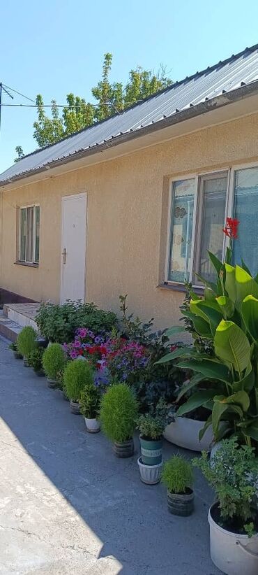 Продажа домов: Дом, 150 м², 6 комнат, Собственник, Евроремонт — 5