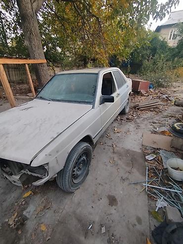 поддон мерседес 124: Mercedes-Benz W123: 1983 г. — 8