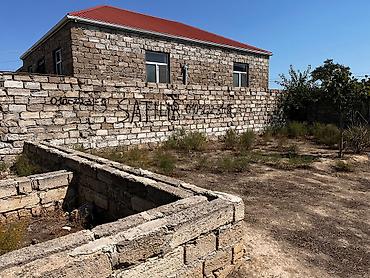 bine sovxoz: Barter mümkündür — 1
