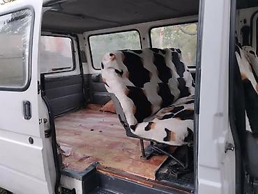 rota grid: Легкий грузовик, Ford, Стандарт, 1,5 т, Б/у — 6