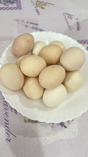 Молочные продукты и яйца: Адлер жумурткасы 40сом