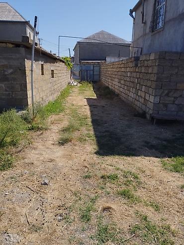 Torpaq sahələrinin satışı: 10 sot, Tikinti, Mülkiyyətçi, Kupça (Çıxarış), Bələdiyyə, Texniki pasport -da lalafo.az — 5 Torpaq sahələrinin satışı: 10 sot, Tikinti, Mülkiyyətçi, Kupça (Çıxarış), Bələdiyyə, Texniki pasport — 5