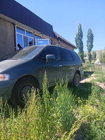 косить: Honda Odyssey: 1996 г., 2.3 л, Автомат, Бензин, Минивэн — 2