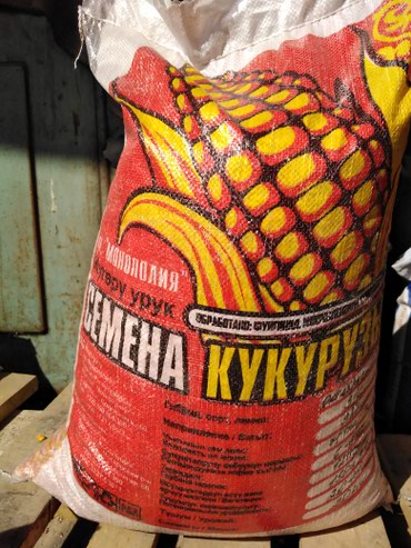 Другие виды семян и саженцев: Продаю семена кукурузы кыргызской селекции. гибрид ф1.Ала-тоо . срок