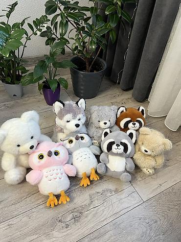 Игрушки: Приветствуем всех🙌 различные наборы с мягкими игрушками💞 обращаться по — 3