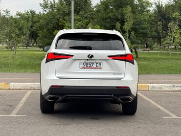 Lexus: Lexus NX: 2018 г., 2 л, Автомат, Бензин, Кроссовер — 11