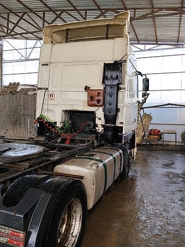 xf: Тягач, DAF, 2002 г., Шторный — 4