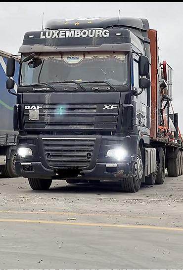 Тягачи: Тягач, DAF, 2008 г., Холодильник, рефрижератор — 3