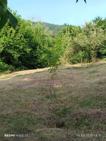 Torpaq sahələrinin satışı: 186 sot, Tikinti, Maklerlər narahat etməsin, Kupça (Çıxarış) — 3