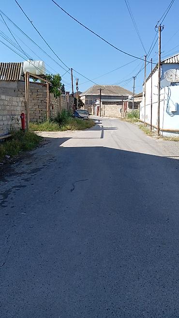 kürdəxani: 4 sot, Tikinti, Bələdiyyə — 3