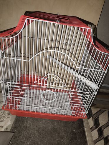 Qəfəslər: Papuqay üçün qəfəs oyuncaqları ilə birlikdə satılır. Клетка для