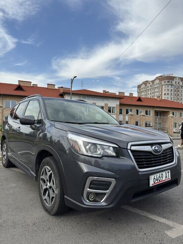 приборка субару: Subaru Forester: 2019 г., 2.5 л, Вариатор, Бензин, Кроссовер