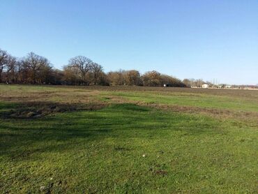 Torpaq sahələrinin satışı: 200 sot, Biznes üçün, Maklerlər narahat etməsin, Kupça (Çıxarış) -da lalafo.az — 1 Torpaq sahələrinin satışı: 200 sot, Biznes üçün, Maklerlər narahat etməsin, Kupça (Çıxarış) — 1