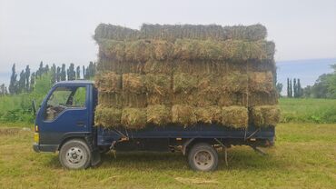 купить запчасти на опель вектра б: JAC J5: 2005 г., 4 л, Механика, Дизель, Бус