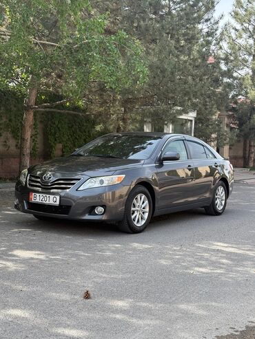 tayota runx: Toyota Camry: 2010 г., 2.5 л, Автомат, Бензин, Седан