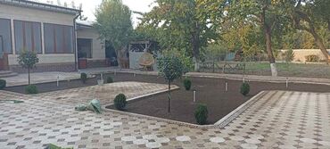 Газон: Газон и Автополив жасайбыз баасы келишим турдо болот! — 10