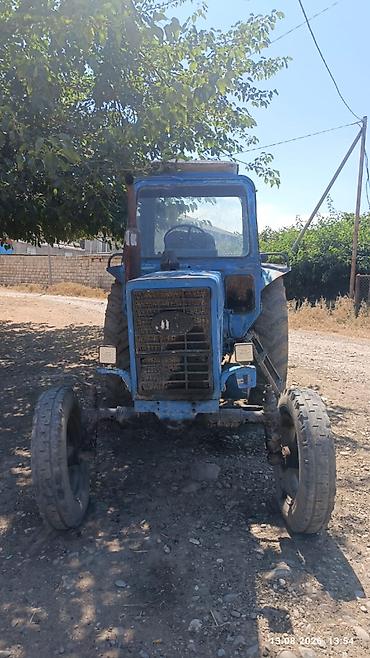 015 maşını: Traktor Belarus (MTZ) 80, 1990 il, 80 at gücü, motor 9 l, İşlənmiş — 1