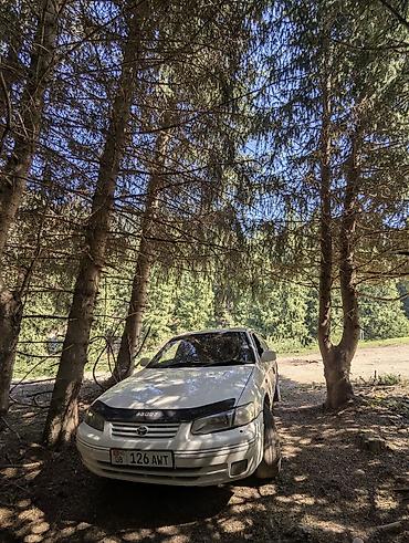 camry 1999: Toyota Camry: 1999 г., 2.2 л, Автомат, Бензин, Седан — 1