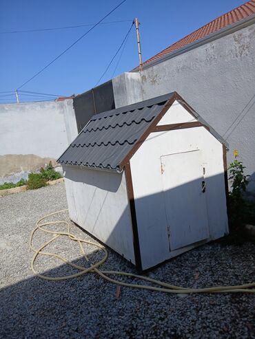 cuce ucun su qabi: Böyük ölçülü taxta it evi / çardaq tipli quşxana - Karkas: taxta