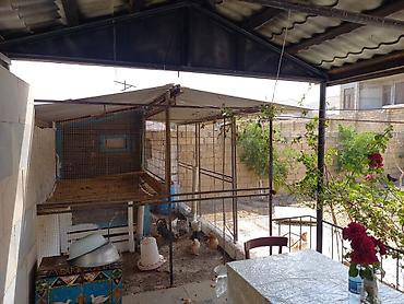 Həyət evləri və villalar: 3 otaqlı, 150 kv. m, Orta təmir — 4