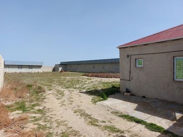 xutorda kirayə ev: Şabranda 6.4 çıxarışda xüsusi mülkiyyətdə kənd təsərrüfatı