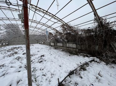 Теплицы: Срочно срочно срочно Теплицанын терезе, батарейка трубалары — 8