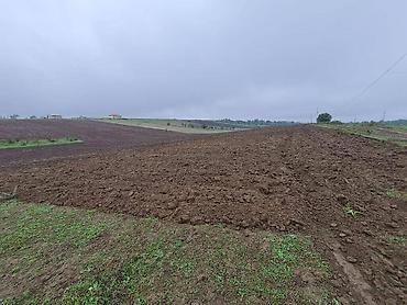 xirdalan abseron city kiraye evler: 210 sot, Kənd təsərrüfatı, Mülkiyyətçi, Kupça (Çıxarış) — 2