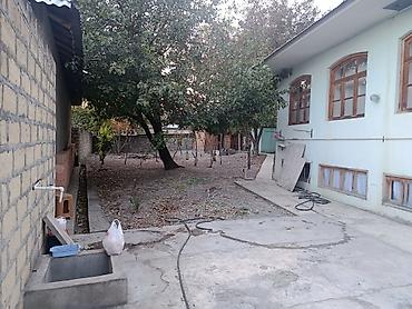 ev alqi satqi kiraye: 4 otaqlı, 700 kv. m, Yeni təmirli — 6
