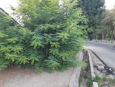 Посуточная аренда квартир: 1 комната, Постельное белье, Парковка, Бронь — 24