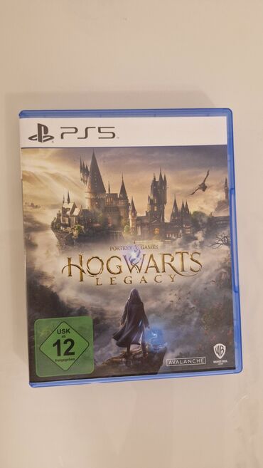 peci na cvrsto gorivo novi sad: Hogwarts Legacy je impresivna akciona RPG igra otvorenog sveta