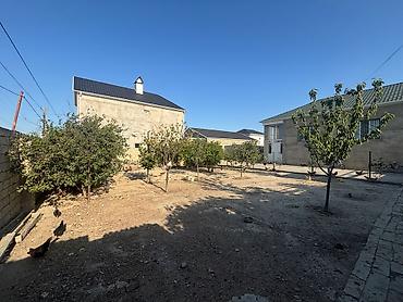 kend ehmedli: 2 sot, Tikinti, Mülkiyyətçi, Kupça (Çıxarış), Bələdiyyə, Müqavilə — 2