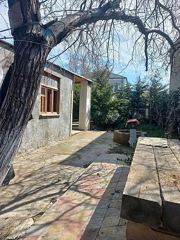 Bağ evlərinin satışı: Novxanı, 150 kv. m, 3 otaqlı, Hovuzsuz — 9