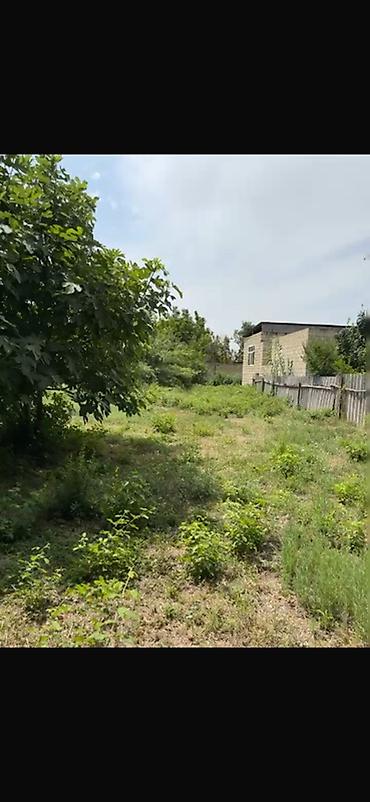 əkin sahəsi icarə: 15 sot, Tikinti, Mülkiyyətçi, Kupça (Çıxarış) — 2