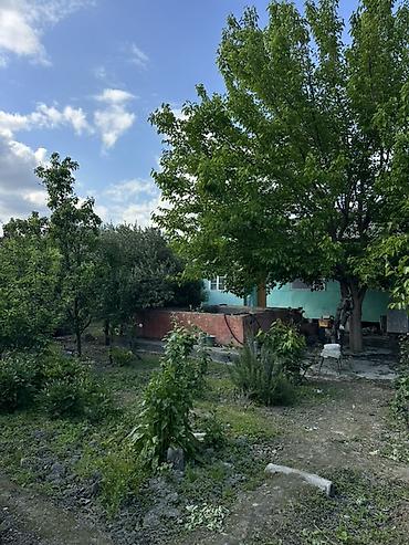 bağça satılır: 18 sot torpağ tam satılırhissə -hissədə satılır razılaşma yolu ilə — 7