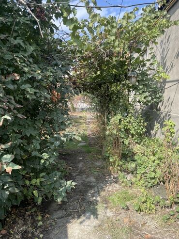 продаю квартиру в центре: 14 соток, Айыл чарба үчүн, Техпаспорт, Сатып алуу-сатуу келишими