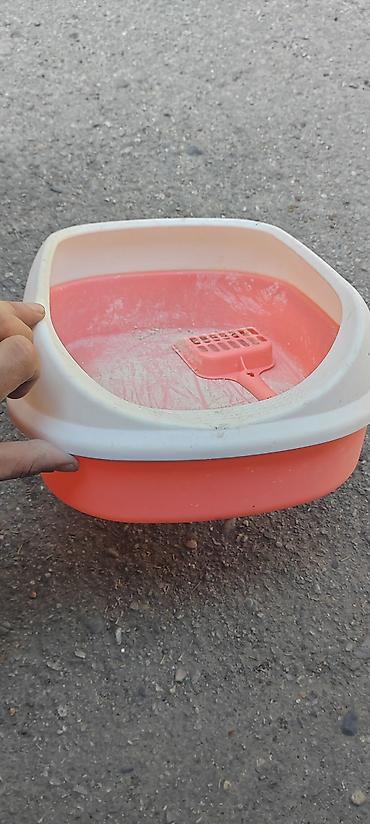 Heyvanlar: Məhsul: Pişik tualeti qabı və kürəciyi - Material: davamlı plastik - — 3