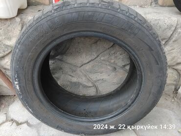 резина на нексия: Шины 185 / 65 / R 15, Зима, Б/у, 1 шт, Легковые, Michelin