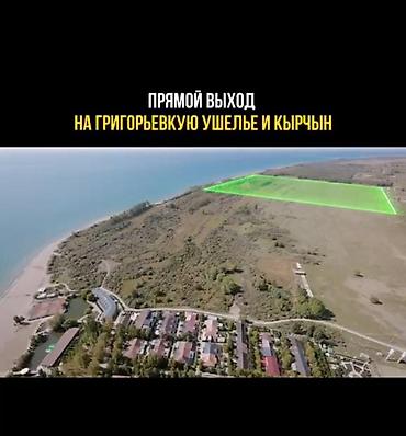 bay tash: 500 соток, Для бизнеса — 7