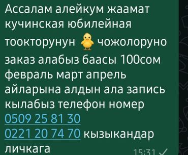 продаю кукуруза: Жожолорго заказ алабыз 100сом