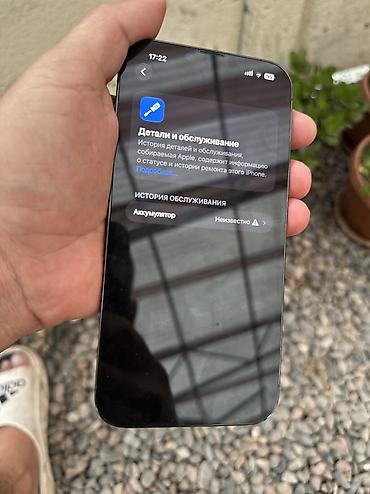 IPhone 13 Pro Max, Б/у, 256 ГБ, Black Titanium, Коробка, 100 %