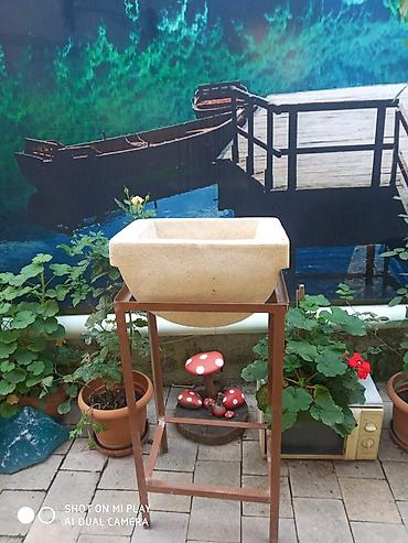 cokə ağacı satılır: Su dawl satllr.altlgl ilə birlikdə.vtdp var.endirim olar — 4
