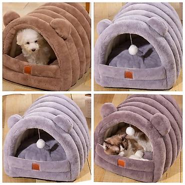 Зоотовары: Продаю игрушку/когтеточку/лежанку 3в1,с кошачей мятой,вашему котику at lalafo.kg — 5 Зоотовары: Продаю игрушку/когтеточку/лежанку 3в1,с кошачей мятой,вашему котику — 5