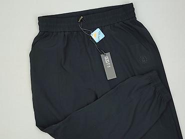 dresy sliskie: Active Wear, Spodnie dresowe damskie, rozmiar L — 1