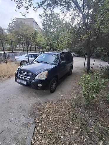 cl 7: Honda CR-V: 2005 г., 2.4 л, Автомат, Газ, Кроссовер — 3
